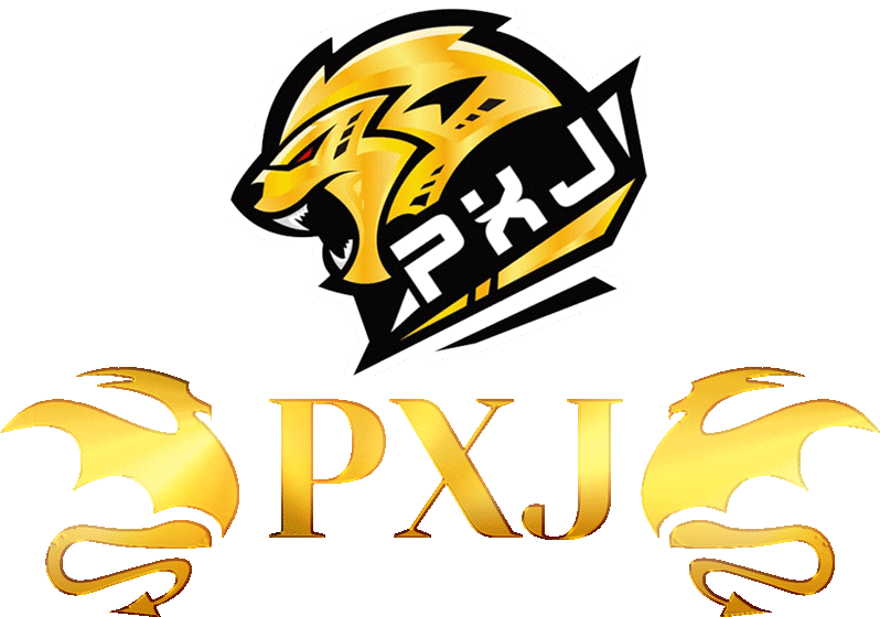 pxj00 logo